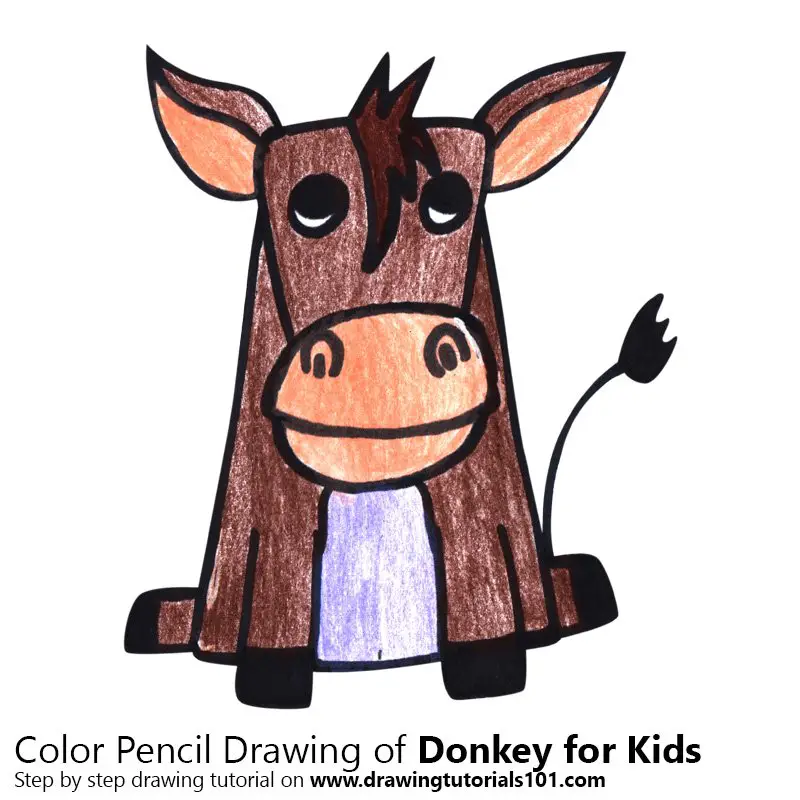 Donkey for Kids Color Pencil Drawing