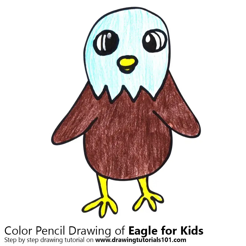 Eagle for Kids Color Pencil Drawing