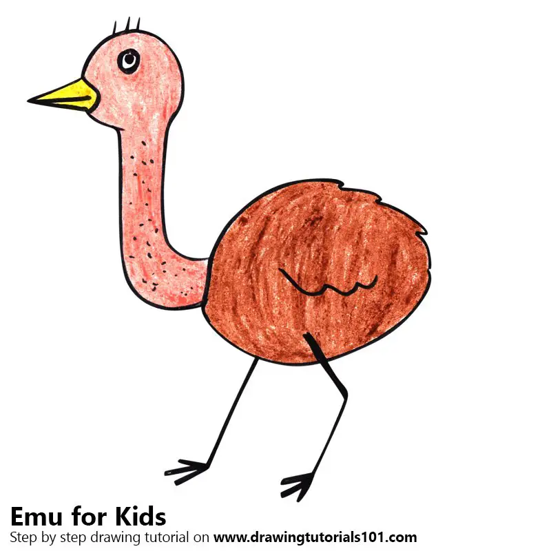 Learn How to Draw an Emu for Kids (Animals for Kids) Step by Step