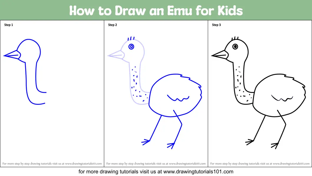 How to Draw an Emu for Kids printable step by step drawing sheet