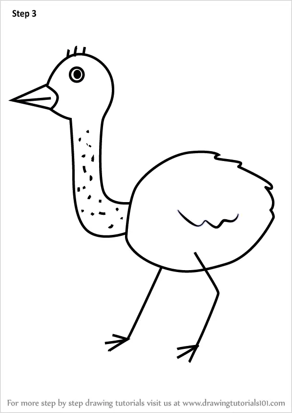 Step by Step How to Draw an Emu for Kids