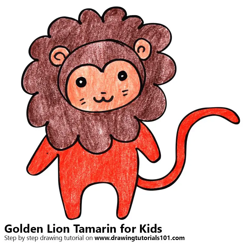 Golden Lion Tamarin for Kids Color Pencil Drawing
