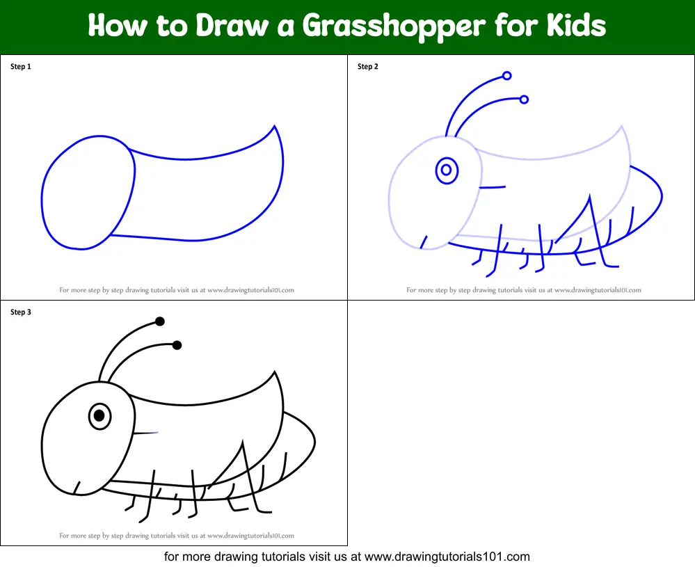 How to Draw a Grasshopper for Kids printable step by step drawing sheet