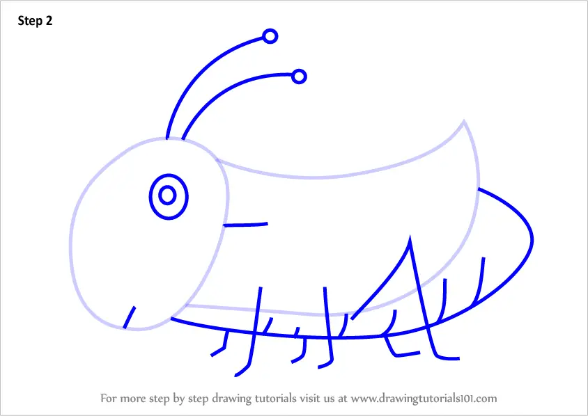 Learn How to Draw a Grasshopper for Kids (Animals for Kids) Step by