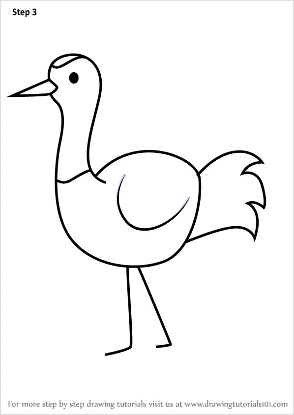 Step by Step How to Draw a Grus Bird for Kids : DrawingTutorials101.com