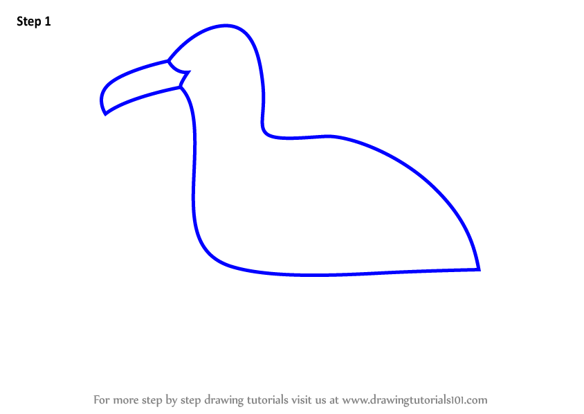 Learn How to Draw a Gull for Kids (Animals for Kids) Step by Step ...