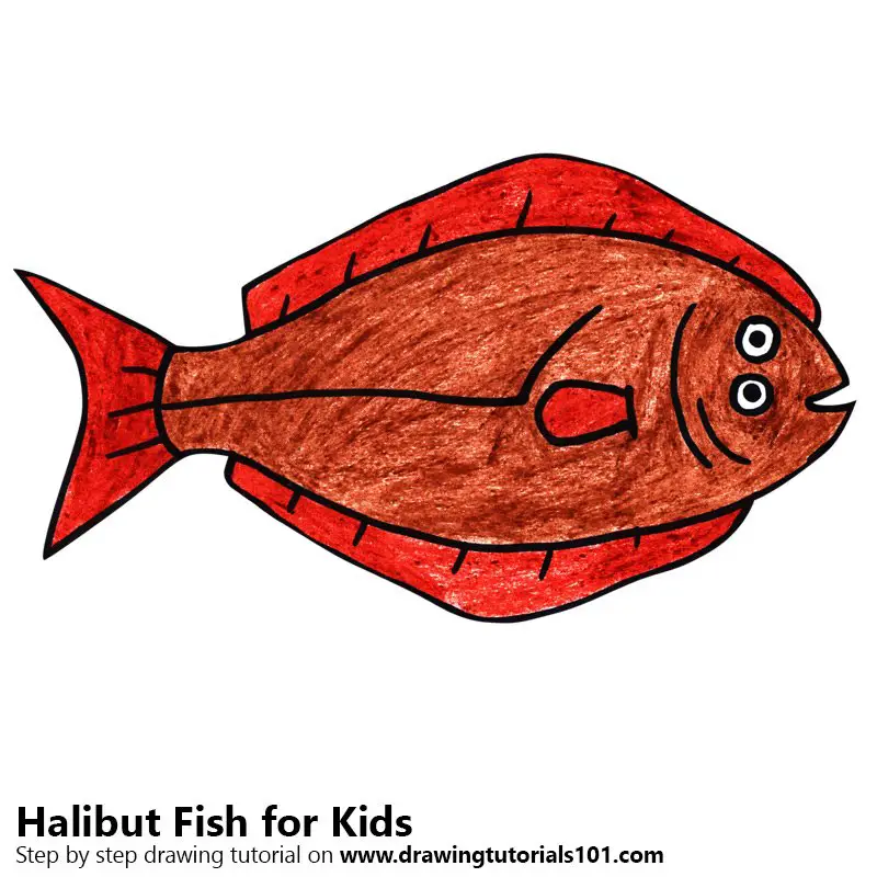 Step by Step How to Draw a Halibut Fish for Kids