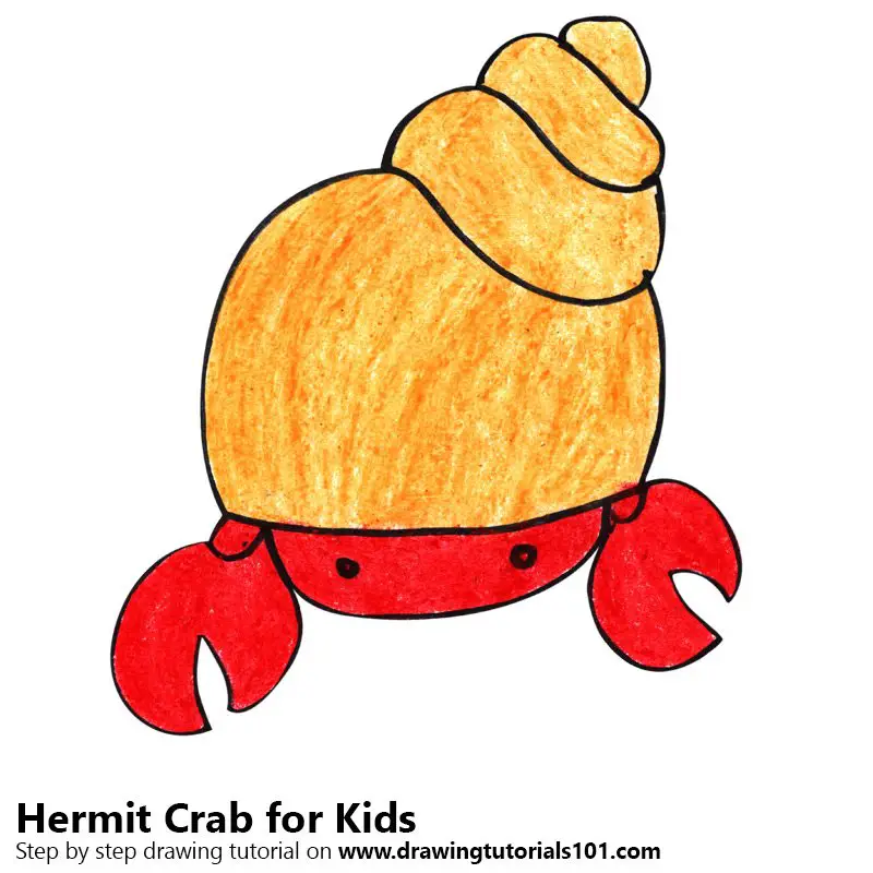 Step by Step How to Draw a Hermit Crab for Kids