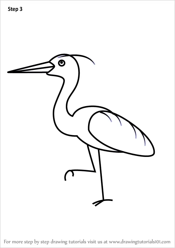 Step by Step How to Draw a Heron for Kids