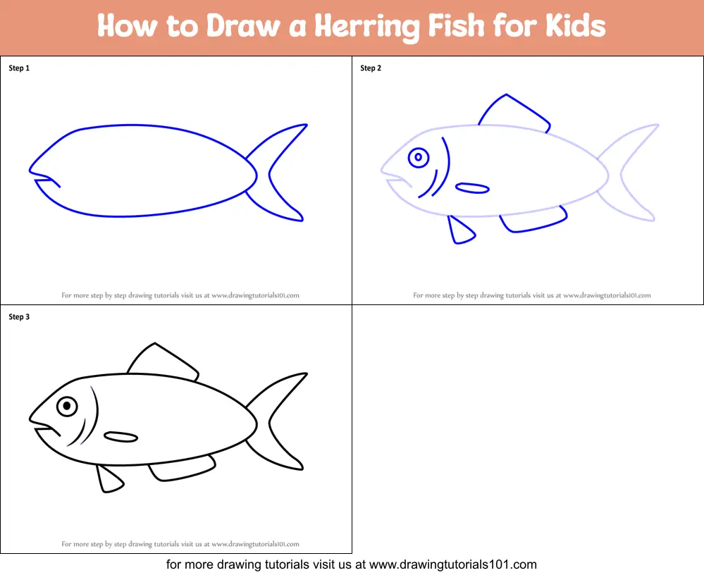 How to Draw a Herring Fish for Kids printable step by step drawing