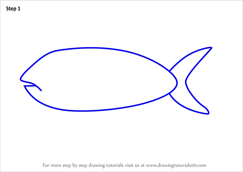 Step by Step How to Draw a Herring Fish for Kids