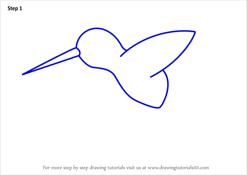 step by step how to draw a hummingbird for kids drawingtutorials101com