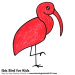 How to Draw a Ibis Bird for Kids