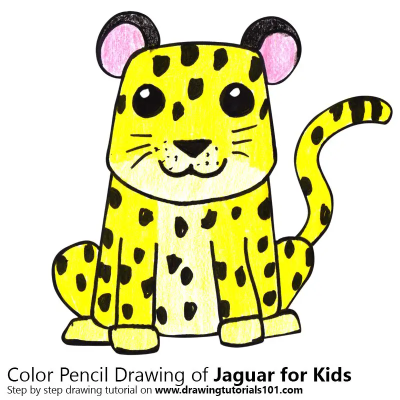Jaguar for Kids Color Pencil Drawing