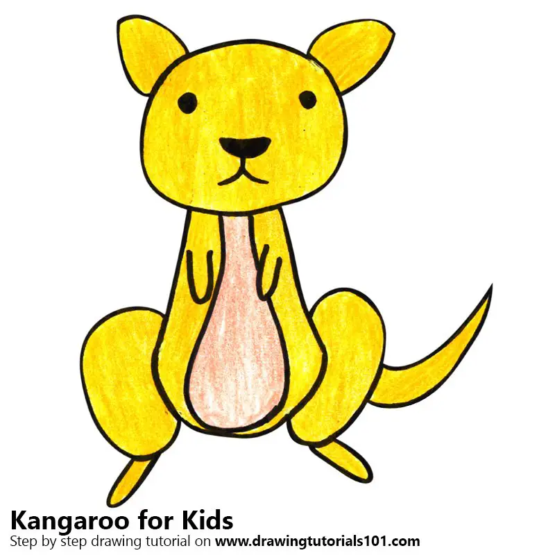 Kangaroo for Kids Color Pencil Drawing