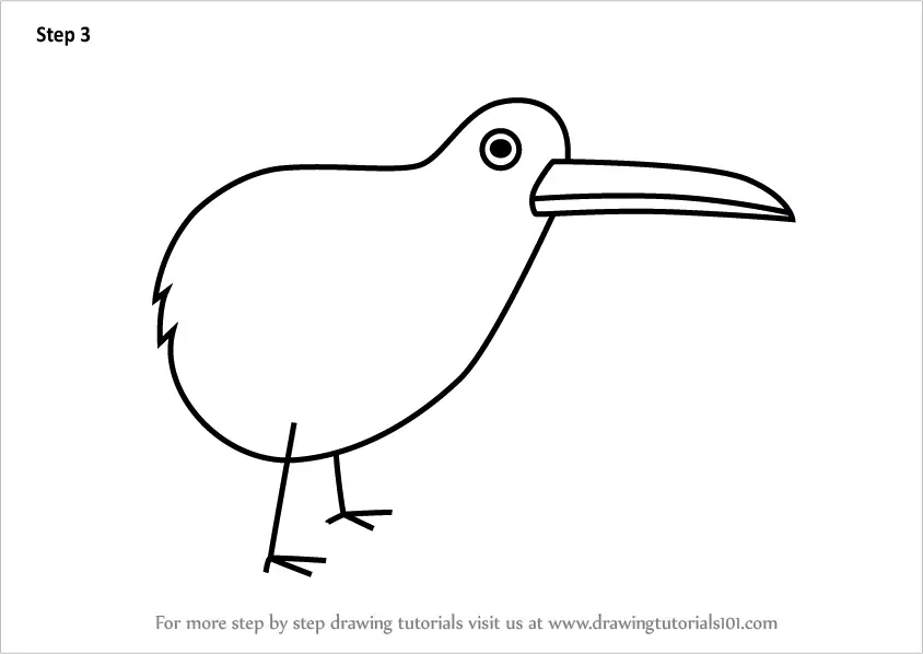 Learn How to Draw a Kiwi Bird for Kids (Animals for Kids) Step by Step