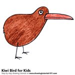 How to Draw a Kiwi Bird for Kids