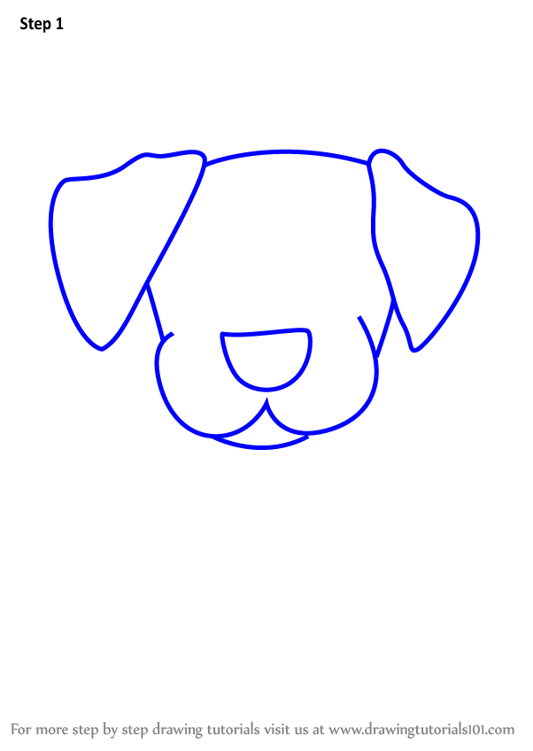 Learn How to Draw a Labrador Dog for Kids Animals for Kids Step by 