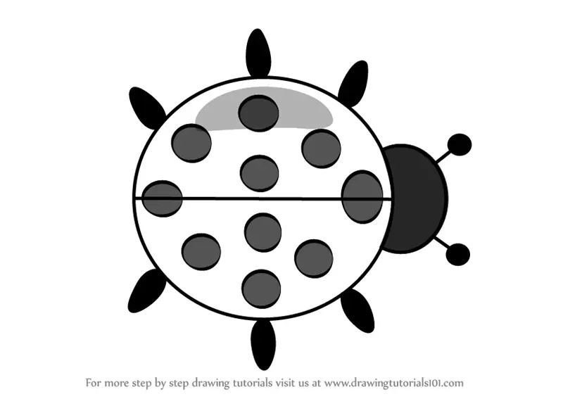 Learn How to Draw Ladybug Cartoon (Animals for Kids) Step by Step