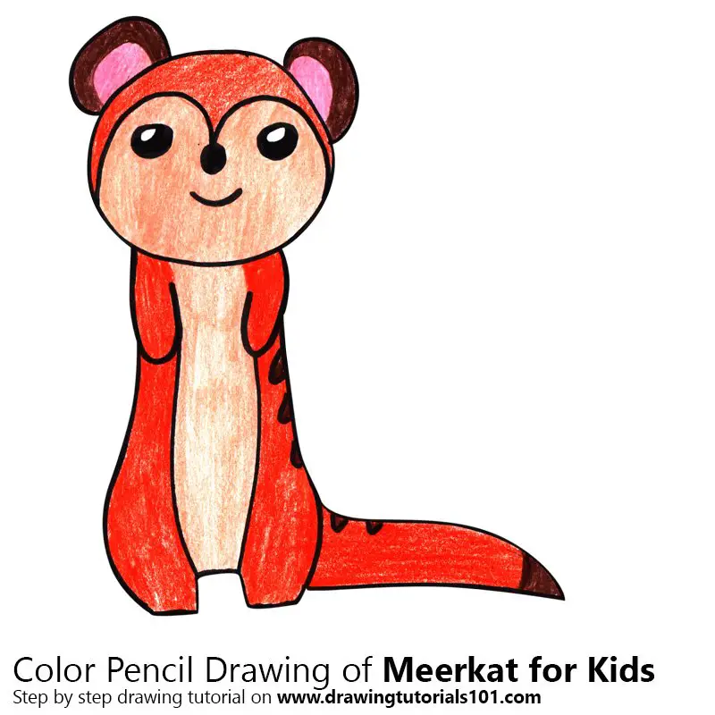 Meerkat for Kids Color Pencil Drawing