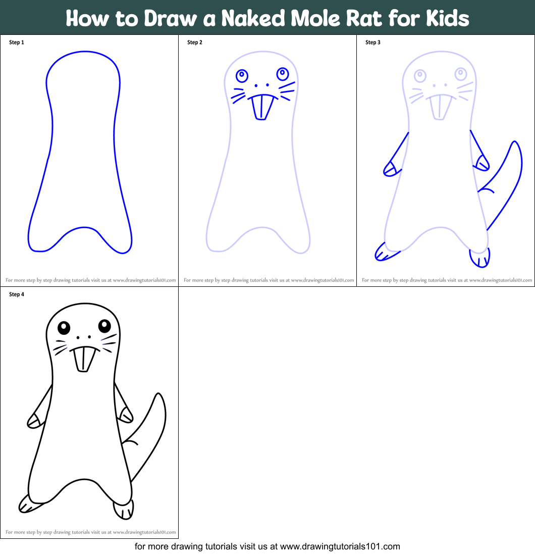 How to Draw a Naked Mole Rat for Kids printable step by step drawing