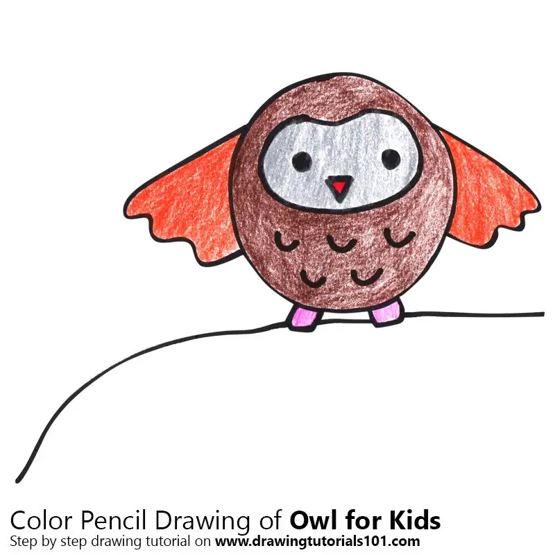 Owl for Kids Color Pencil Drawing