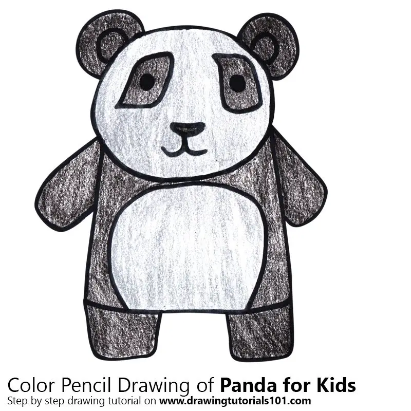 Panda for Kids Color Pencil Drawing