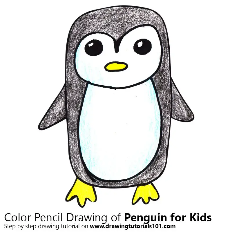 Penguin for Kids Easy Color Pencil Drawing