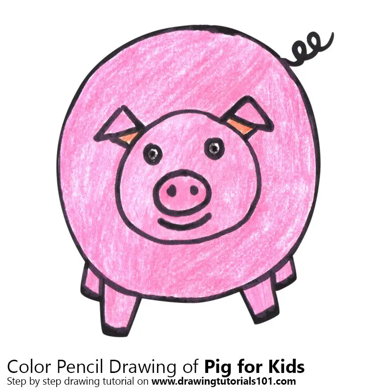 Pig for Kids Easy Color Pencil Drawing