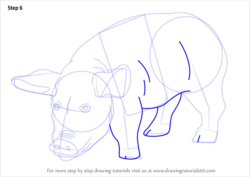 Learn How to Draw a Pig for Kids (Animals for Kids) Step by Step ...