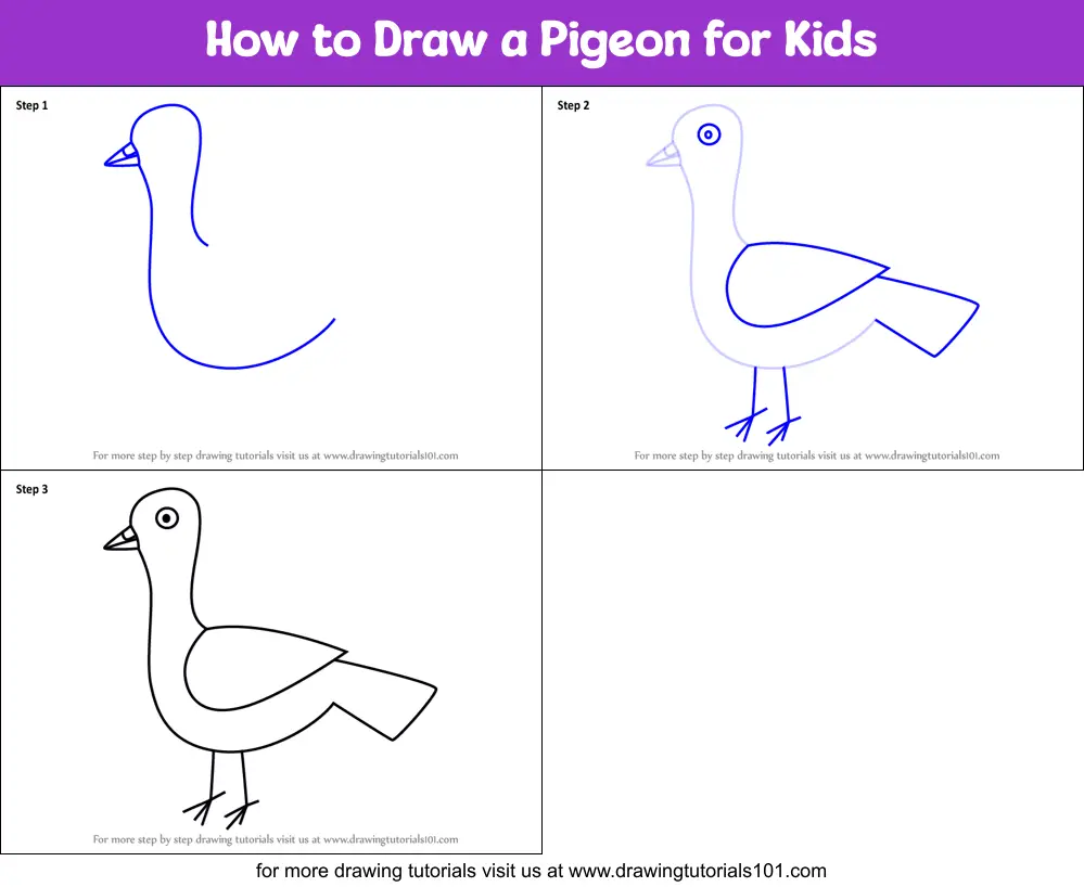 How to Draw a Pigeon for Kids printable step by step drawing sheet