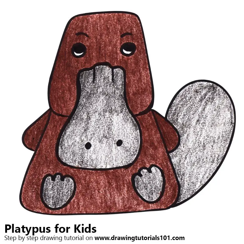 Platypus for Kids Color Pencil Drawing