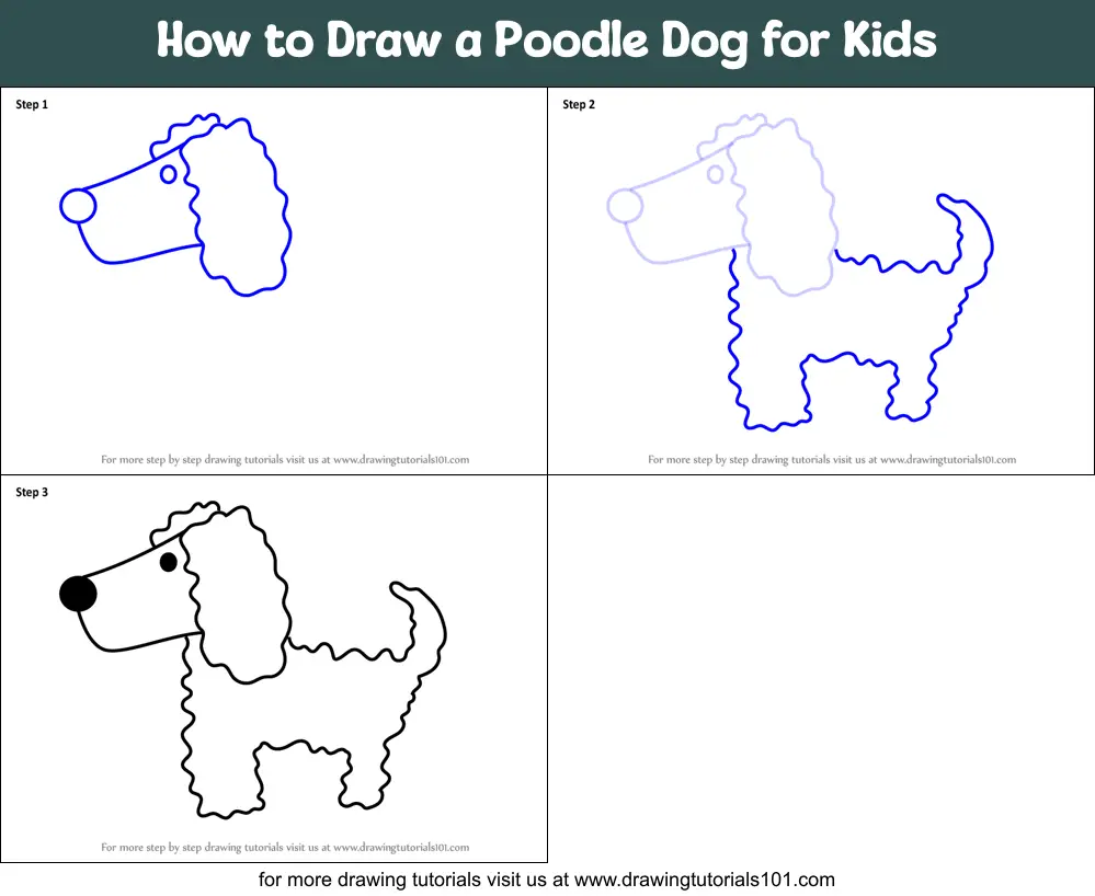 How to Draw a Poodle Dog for Kids printable step by step drawing sheet ...