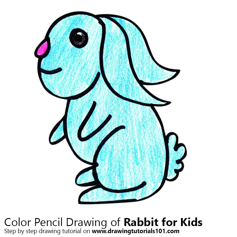 Rabbit for Kids Color Pencil Drawing