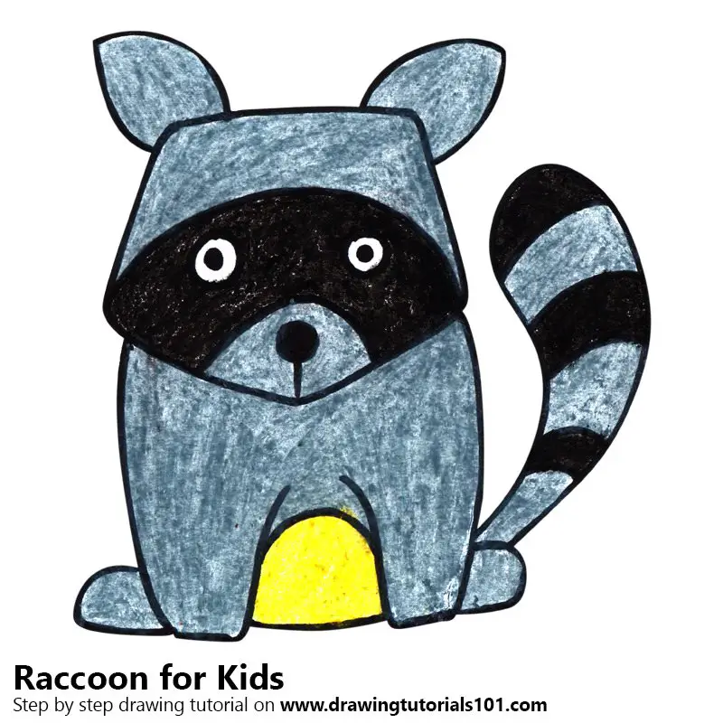 Raccoon Drawing For Kids