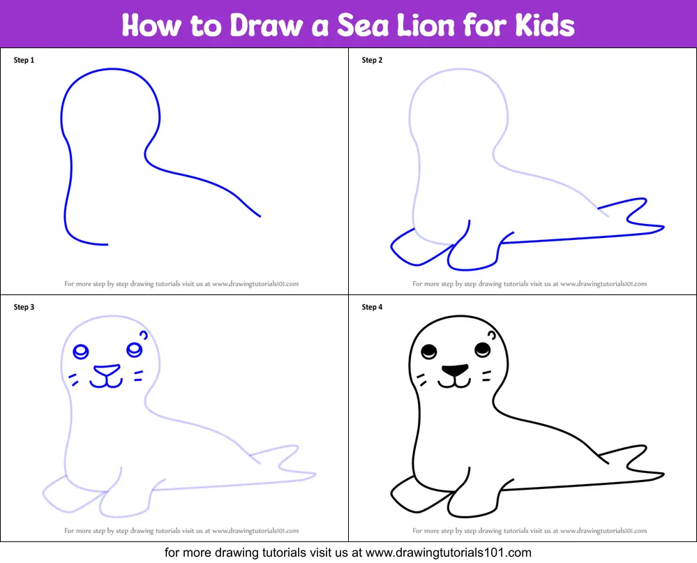 How to Draw a Sea Lion for Kids printable step by step drawing sheet