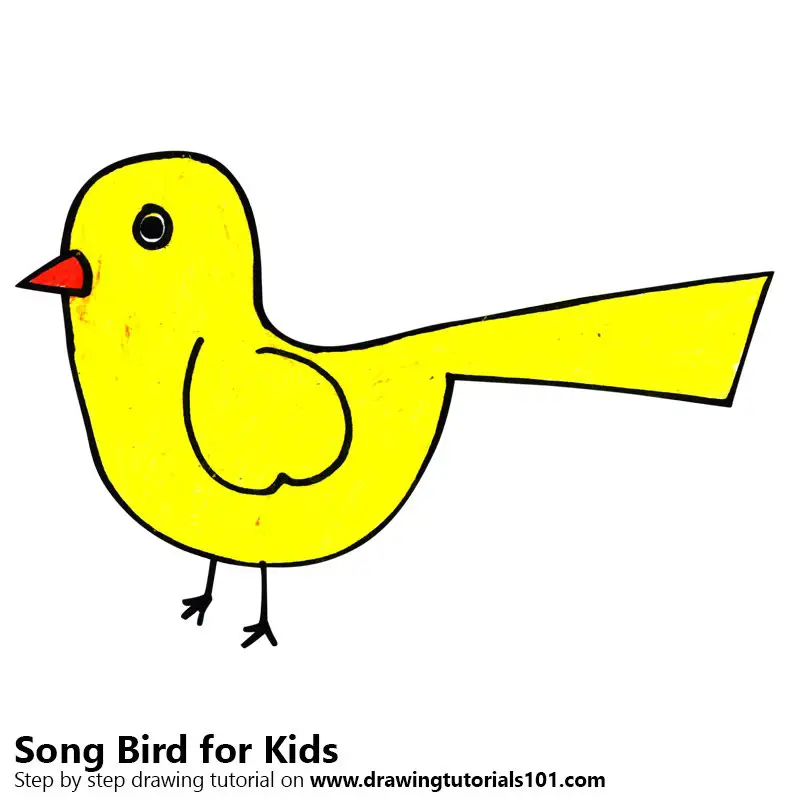 Step by Step How to Draw a Song Bird for Kids