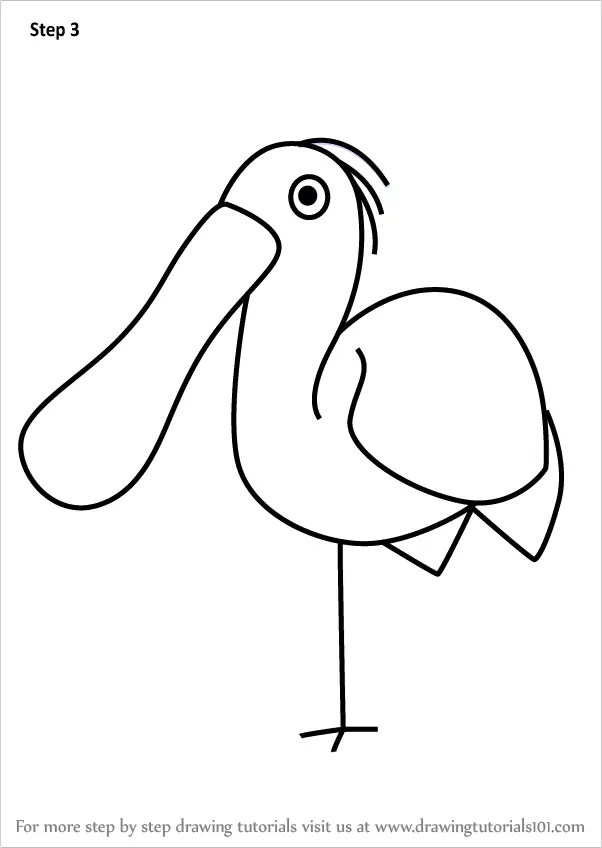 Learn How to Draw a Spoonbill for Kids (Animals for Kids) Step by Step ...