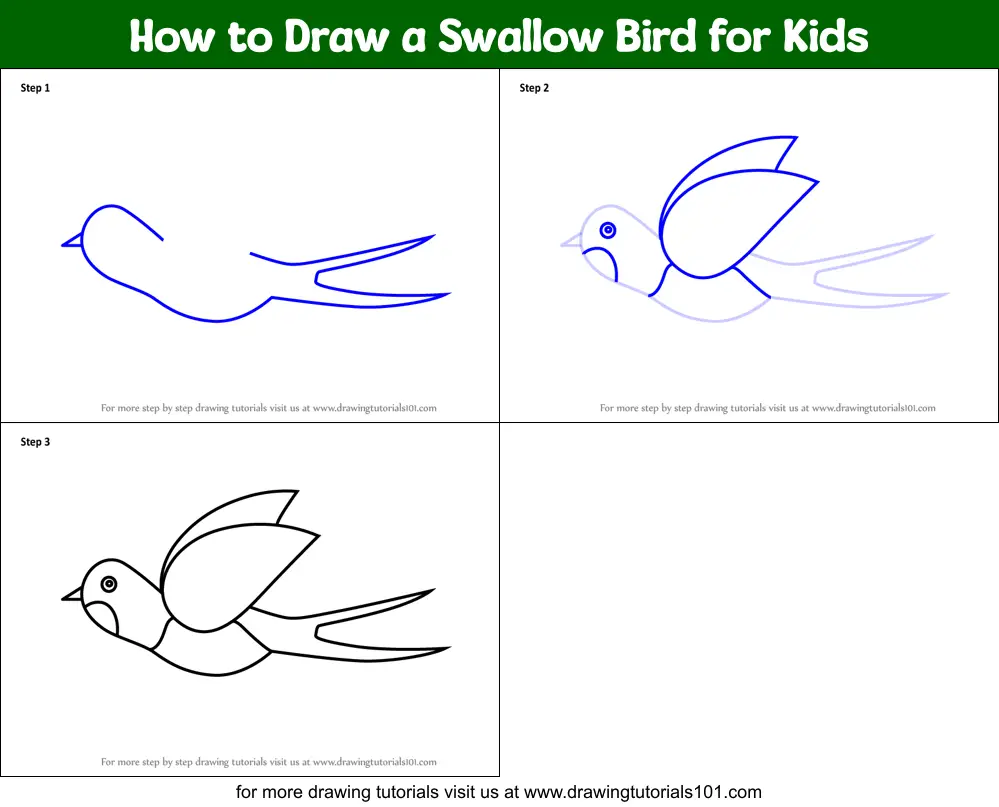 How to Draw a Swallow Bird for Kids printable step by step drawing ...