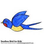 How to Draw a Swallow Bird for Kids