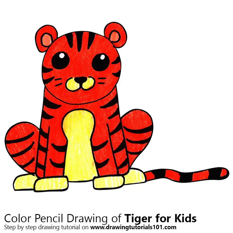 Tiger for Kids Easy Color Pencil Drawing
