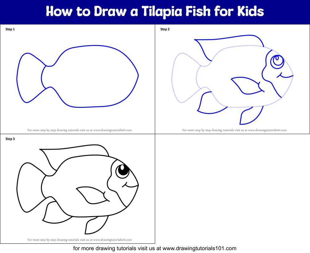 how-to-draw-a-tilapia-fish-for-kids-printable-step-by-step-drawing