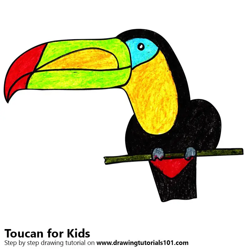Learn How to Draw a Toucan for Kids (Animals for Kids) Step by Step