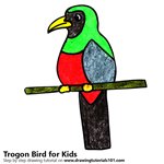 How to Draw a Trogon Bird for Kids