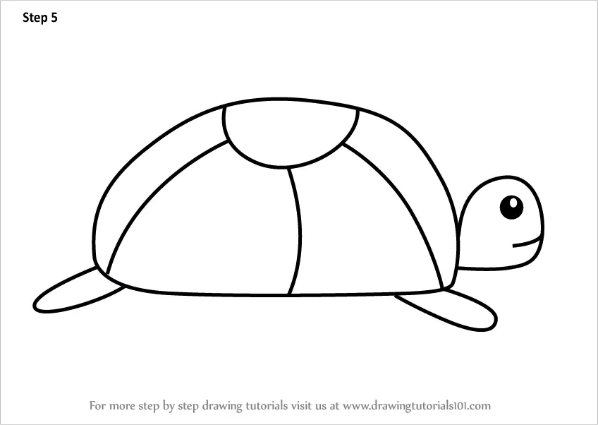 Step by Step How to Draw a Turtle for Kids
