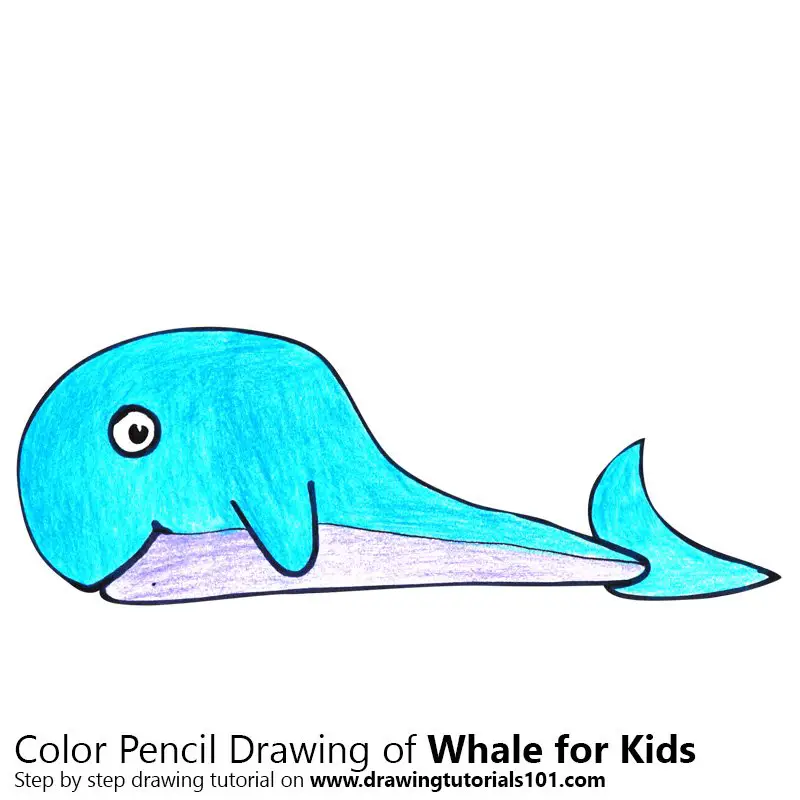 Whale for Kids Color Pencil Drawing