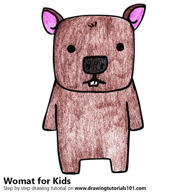 Step by Step How to Draw a Wombat for Kids