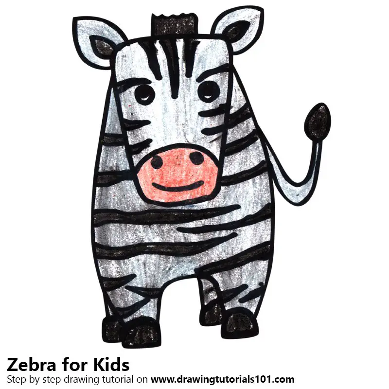 realistic kids zebra drawing easy