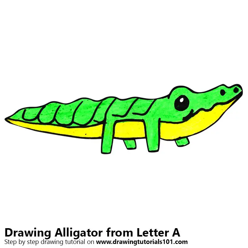 Alligator from Letter A Color Pencil Drawing