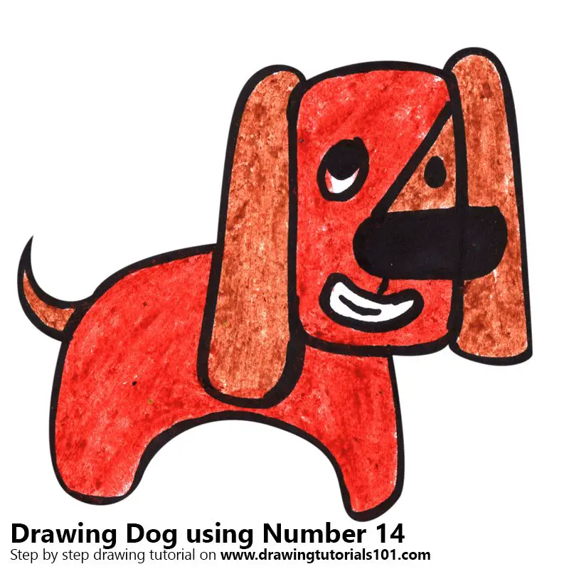 Dog using Number 14 Color Pencil Drawing